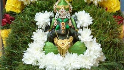 ஆனைமுகனுக்கு அருகம்புல் தான் விசேஷம் ஏன் தெரியுமா?