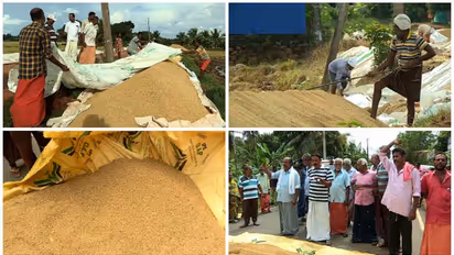 ക‍ർഷക‍ർക്ക് ആശ്വാസം: നെല്ല് സംഭരണം ഇന്ന് മുതൽ വീണ്ടും തുടങ്ങും