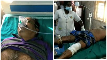 ഷോളയാറിൽ കാട്ടാനയുടെ ആക്രമണത്തിൽ തൊഴിലാളിക്ക് പരിക്ക്