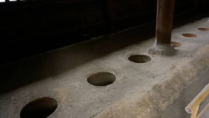 ജപ്പാനിലെ ഏറ്റവും പഴക്കം ചെന്ന ടോയ്ലെറ്റ് ഇടിച്ചു തകർത്ത് കാർ, ടോയ്ലെറ്റ് സാംസ്കാരിക സ്വത്തിന്റെ ഭാഗം