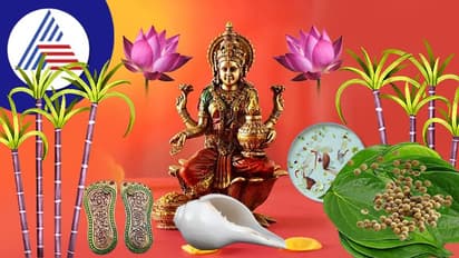 Diwali 2022: ದೀಪಾವಳಿ ಲಕ್ಷ್ಮಿ ಪೂಜೆಯಲ್ಲಿ ಅವಶ್ಯ ಬಳಸಿ ಈ ವಸ್ತು