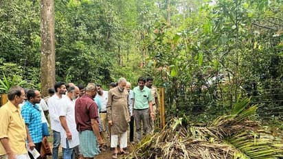 ಅಡಕೆಗೆ ಎಲೆ ಚುಕ್ಕಿರೋಗ, ಜಿಲ್ಲೆಗೂ ತಟ್ಟಿದ ಭೀತಿ!