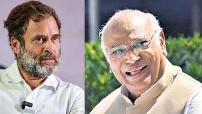 'പാർട്ടിയിൽ അന്തിമ അധികാരം അധ്യക്ഷന്, തന്റെ റോൾ അധ്യക്ഷൻ തീരുമാനിക്കും'; വിജയിയെ അനുമോദിച്ച് രാഹുൽ