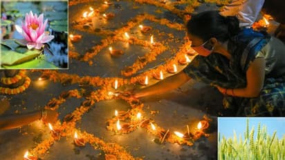  Diwali: கோவர்த்தன பூஜை ஏன் 25ஆம் தேதி செய்யக் கூடாது? காரணம் என்ன? மிஸ் பண்ணாமல் தெரிந்து வைத்து கொள்ளுங்கள்