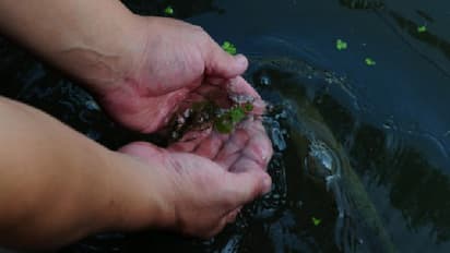 പ്രളയത്തിന് പിന്നാലെ അസാധാരണമായ അണുബാധ വ്യാപകം; അഞ്ചിലൊരാള്‍ക്ക് മരണം...