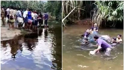 മലവെള്ളപ്പാച്ചിലിൽ വെള്ളിയാറിൽ ജീവൻകൊതിച്ച് കേഴമാൻ, രക്ഷകരായി ദ്രുത കർമ്മ സംഘം