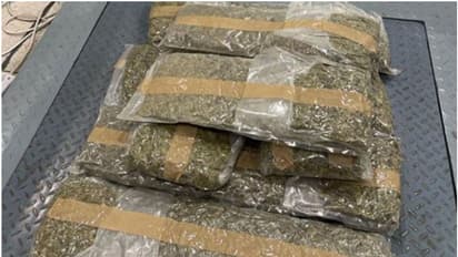 കിലോക്കണക്കിന് കഞ്ചാവുമായി വിമാനത്താവളത്തില്; വിശദ പരിശോധനയില് യുവാവ് പിടിയില്