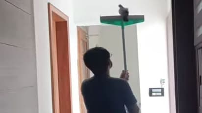 अजीम-ओ-शहंशाह पधार रहे.. कबूतर निकालने की जो तरकीब भिड़ाई, तारीफ किए बिना आप भी नहीं रहेंगे 