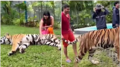 ಹನಿಮೂನ್‌ನಲ್ಲಿ 'ಕಮಲಿ' ಖ್ಯಾತಿಯ ಗೇಬ್ರಿಯೆಲಾ-ಸುಹಾಸ್ ದಂಪತಿ; ಟೈಗರ್ ಜೊತೆ ಫೋಟೋ ವೈರಲ್ 