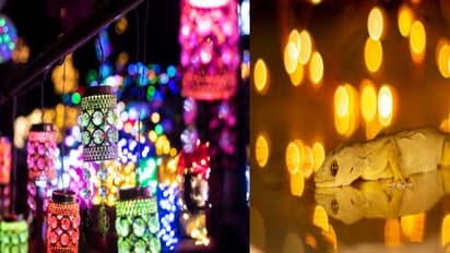 দীপাবলিতে এই চারটি প্রাণীর দেখা পাওয়া অত্যন্ত শুভ, হতে পারে বিপুল অর্থপ্রাপ্তি