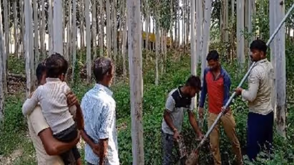 यूपी के इस गांव में लालटेन और मोमबत्ती की रोशनी में होती थी दिवाली, 75 साल बाद इस वजह से खिले सभी के चेहरे