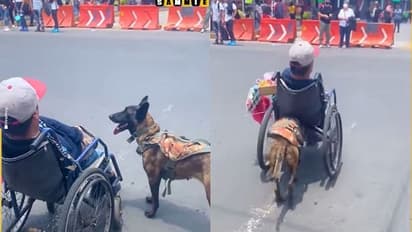 ವಿಶೇಷ ಚೇತನ ವ್ಯಕ್ತಿಗೆ ನಾಯಿಯ ಆಸರೆ, ವ್ಹೀಲ್ಚೇರ್ ತಳ್ಳುತ್ತಾ ಮಾಲೀಕನ ಆರೈಕೆಗೆ ಜನರು ಫಿದಾ!