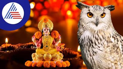 வீட்டில் ஆந்தை சிலையை வைப்பது சுபமா..? எந்த திசையில் வைக்கலாம்..? நன்மைகள் என்ன..?