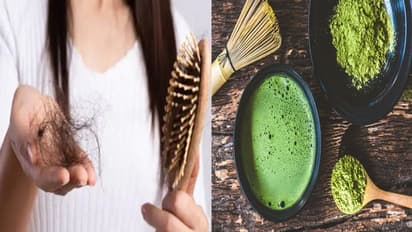 ग्रीन टी से बालों को करें मजबूत और शाइनी, 3 तरह से करें इस्तेमाल