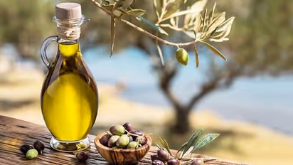 ഒലീവ് ഓയിൽ ശരീരത്തിലെ അധിക കൊഴുപ്പ് കുറയ്ക്കുമോ? ന്യൂട്രീഷ്യനിസ്റ്റ് പറയുന്നത്