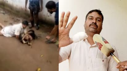 നായ പിന്നാലെയെത്തി കടിച്ചു, ദേഹമാസകലം പരിക്കേറ്റിട്ടും സാഹസികമായി കീഴ്പ്പെടുത്തി യുവാവ് , സംഭവം കോഴിക്കോട്