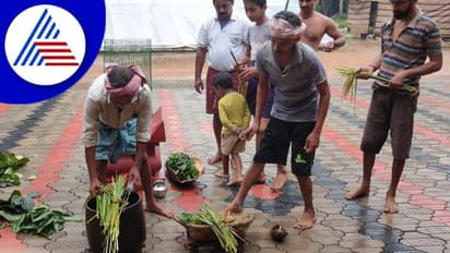 ತುಳು ಸಂಸ್ಕೃತಿ ಪ್ರತಿಬಿಂಬದ ತೆನೆ ಹಬ್ಬ ‘ಕುರಲ್ ಪರ್ಬ’