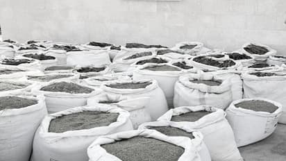 পোস্তর খোসার দাম ৩০ কোটি টাকা! আনন্দপুরের গুদামে হানা দিয়ে কলকাতা পুলিশের বড়সড় সাফল্য