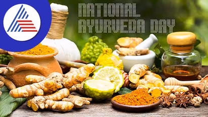 National Ayurveda Day: ಕಾಯಿಲೆ ಬಿದ್ದಾಗ ಟ್ಯಾಬ್ಲೆಟ್ ತಿನ್ಬೇಕಾಗಿಲ್ಲ, ಮನೆಮದ್ದು ಬಳಸಿ ಸಾಕು