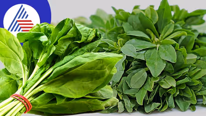 தினமும் இந்த 7 காய்கறிகளை சாப்பிட்டால், உடலில் சீராகும் நோய்கள்... ஆரோக்கியமான நீண்ட ஆயுள் கேரண்டி..! 