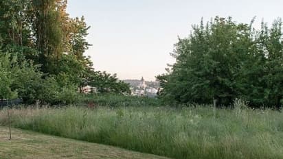 ഭര്‍ത്താവ് ജീവനോടെ കുഴിച്ചിട്ടു; അത്ഭുതകരമായി രക്ഷപ്പെട്ട് സ്ത്രീ