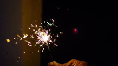 Diwali 2023: These states have banned bursting, selling crackers this festival