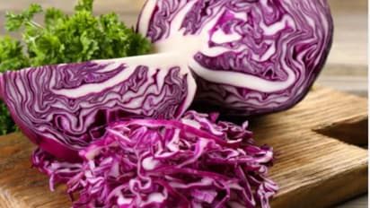 ஊதா முட்டைக்கோஸ்  சாப்பிடுவீங்களா? அதுல எவ்வளவு சத்துக்கள் இருக்கு தெரியுமா?