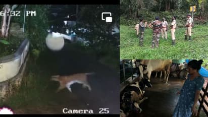 വയനാട്ടിലെ കടുവാപ്രശ്‍നം, സര്‍വ്വകക്ഷി സംഘം ഇന്ന് മുഖ്യമന്ത്രിയുമായി ചര്‍ച്ച നടത്തും