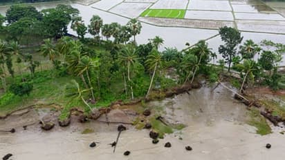 সাইক্লোন সিতরাং সতর্কতা বাংলাদেশের ১৩টি জেলায়,বৃষ্টি মাথায় নিয়েই ত্রাণ শিবিরে যাচ্ছেন দুর্গতরা