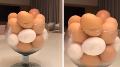 ഇതിലൊരു മുട്ടയ്ക്കൊരു പ്രത്യേകതയുണ്ട്; രസകരമായ വീഡിയോ കണ്ടുനോക്കൂ....