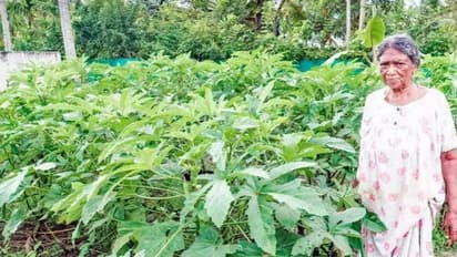 ജീവിത സായാഹ്നത്തില്‍ അവശതകളല്ല പ്രേമവല്ലിക്ക് പറയാനുള്ളത്, കൃഷിയിലെ പുതുമാതൃകകള്‍