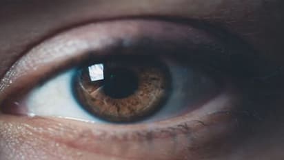 डिजिटल युग में आंखों के सामने कहीं छा ना जाए 'अंधेरा', डाइट में शामिल करें ये 5 सुपर फूड्स