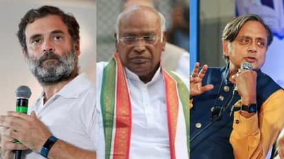 കോൺഗ്രസ് പ്രവർത്തക സമിതിയിലേക്കും തെരഞ്ഞെടുപ്പ്? ഖർഗെയെ നിലപാടറിയിച്ച് രാഹുൽ