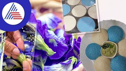 ಒಂದು ಬಾರಿನಾದ್ರೂ ತಿಂದು ನೋಡಿ..ವೈರಲ್ ಆಗ್ತಿದೆ ಬ್ಲೂ ಇಡ್ಲಿ