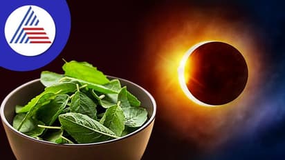 Solar eclipse 2022 ಇಂದು ಆಹಾರದಲ್ಲಿ ತುಳಸಿ ಹಾಕಿಡುವುದೇಕೆ?