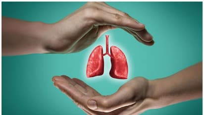 ఈ కూరగాయలు ఊపిరితిత్తులను ఆరోగ్యంగా ఉంచుతాయి.. తప్పక తినండి