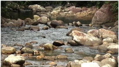 കല്ലാറിൽ 14 അപകട കയങ്ങൾ നിരോധിക പ്രദേശമായി പ്രഖ്യാപിക്കും; സുരക്ഷിത ടൂറിസം പദ്ധതി ഒരുങ്ങുന്നു