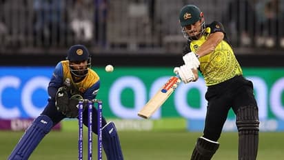 ICC T20 World Cup 2022: Fans go berserk after Stoinis smashes record fifty in Australia's 7-wicket win over SL