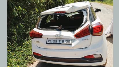  ചിന്നം വിളിച്ച് ഓടിയടത്തു, കാറിന്റെ പിൻഭാഗം തകർത്തു, യാത്രക്കാർ ഓടി അടുത്തുള്ള വീട്ടിൽ കയറി രക്ഷപ്പെട്ടു