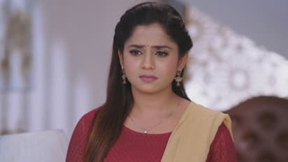 Guppedantha Manasu: వసుధారని ఇంట్లోనుంచి వెళ్లిపోమని చెప్పిన చక్రపాణి.. రిషికి అబద్ధాలు చెప్పిన వసు?