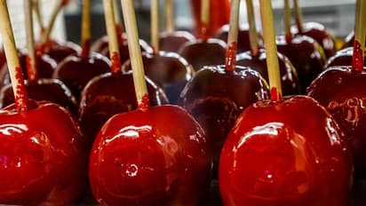 Halloween 2022: Try out this tasty caramel apple recipe for a spooky dessert