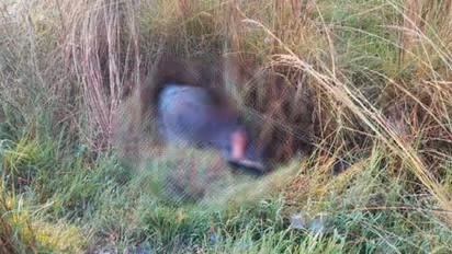 लखनऊ: मर्चेंट नेवी से रिटायर बुजुर्ग की हत्या कर नहर में फेंका गया शव, घटनास्थल पर नहीं मिले खून के निशान