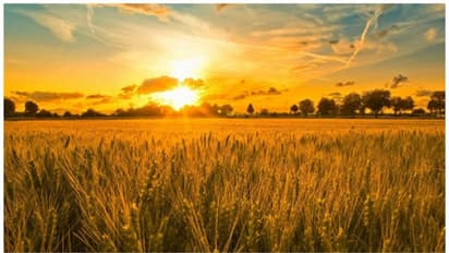 Pathamudayam : ഇന്ന് തുലാം പത്ത് ; പത്തരമാറ്റോടെ പത്താമുദയം