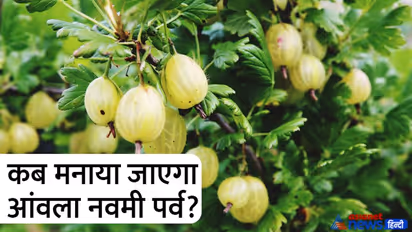 Amla navami 2022: 3 शुभ योगों में मनाया जाएगा आंवला नवमी पर्व, जानें तारीख, पूजा विधि और महत्व