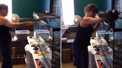 Watch: Pet snake attacks owner while removing it from cage; netizens terrified