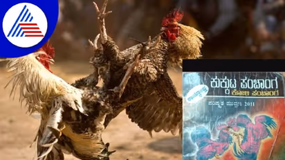 ಕೋಳಿ ಅಂಕದ ಭವಿಷ್ಯ ಹೇಳುವ ಕುಕ್ಕುಟ ಪಂಚಾಂಗ!