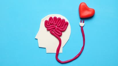 World Stroke Day : പക്ഷാഘാത സാധ്യത കുറയ്ക്കാൻ ഭക്ഷണത്തിൽ ശ്രദ്ധിക്കേണ്ട ചില കാര്യങ്ങളിതാ...