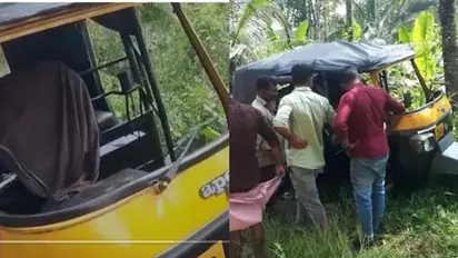 വയനാട്ടിൽ കാട്ടുപന്നി ഓട്ടോ കുത്തി മറിച്ചു, ഡ്രൈവർക്ക് പരിക്ക്