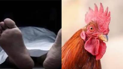 വീടിന്റെ പാലുകാച്ചലിന് മുന്നോടിയായി കോഴിയെ കുരുതി കൊടുക്കാനെത്തി, മന്ത്രവാദി വീണുമരിച്ചു