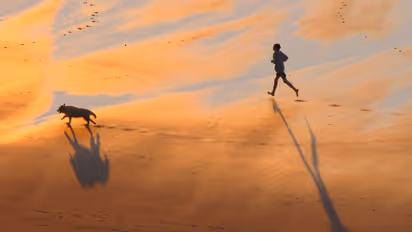 പെണ്വേഷമിട്ട് നായയുമായി സെക്സ് നടത്താന് ശ്രമം; 30-കാരന് പിടിയില്